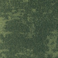 Grafico Project-SDN 707